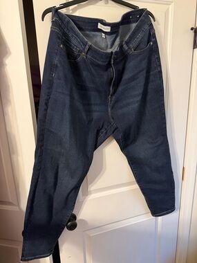 Dark Blue Women’s Jeans by Lane Bryant